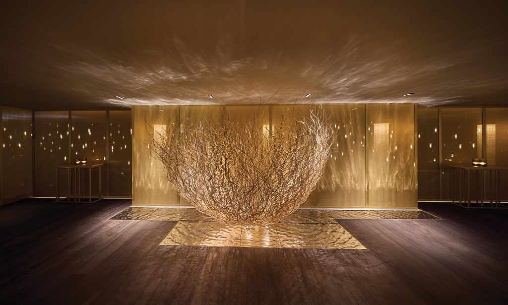 The Rise of Biophilic Lighting: Bringing Nature Indoors